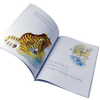 Lord Tiger (paperback edition) - Snowflake Books